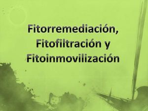fitorremediacion
