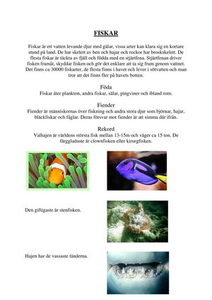 En tidning om olika djurgrupper