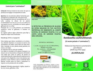 triptico malezas 2011
