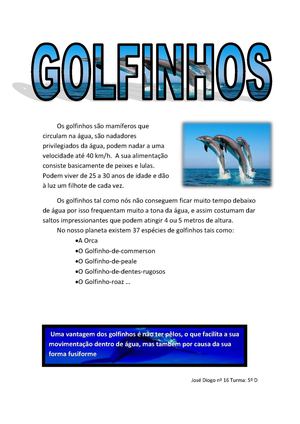 Trabalho de CN_Pesquisa sobre o golfinho