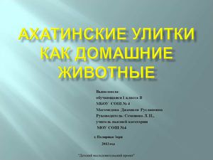 Презентация проекта "Ахатинские улитки как домашние животные"