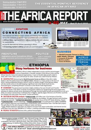The Africa Report - TAR40 synopsis