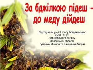 Презентація 2