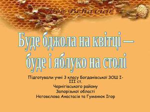 Презентація 3