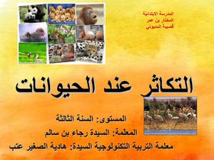 التكاثر عند الحيوانات