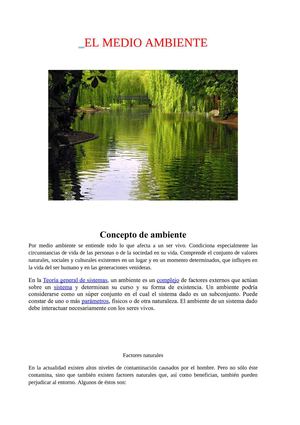 EL MEDIO AMBIENTE