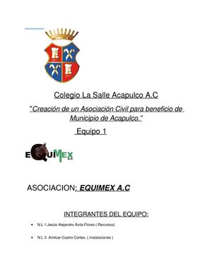 ensayo equimex