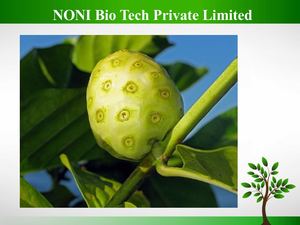 Prof.Peter's Original DivineNoni Platinum