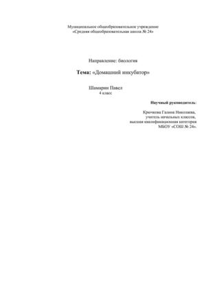 Домашний инкубатор Шамарин Павел
