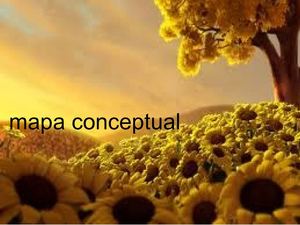 espero  que les sirva!!!