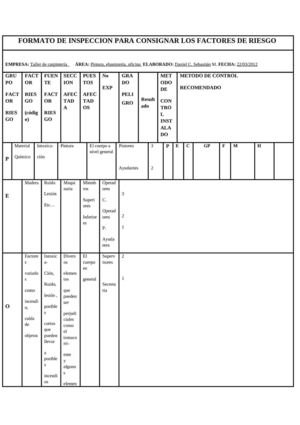 FORMATO DE INSPECCION PARA CONSIGNAR LOS FACTORES DE RIESGO
