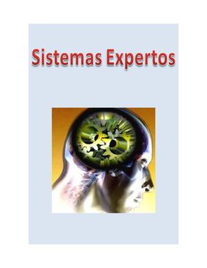 Sistemas Expertos