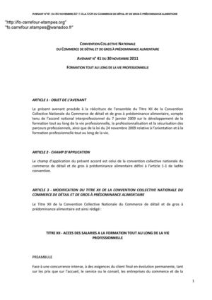 CONVENTION COLLECTIVE NATIONALE DU COMMERCE DE DÉTAIL ET DE GROS À PRÉDOMINANCE ALIMENTAIRE AVENANT N° 41 DU 30 NOVEMBRE 2011 FORMATION TOUT AU LONG DE LA VIE PROFESSIONNELLE 