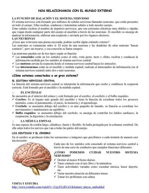 NOS RELACIONAMOS CON EL MUNDO EXTERNO