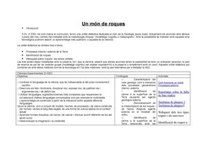 El món de les Roques (programació)