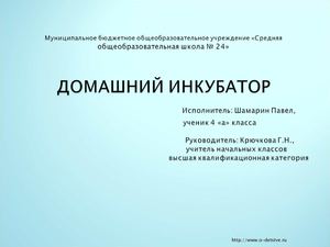 домашний   инкубатор