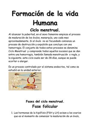 Formación de la vida Humana