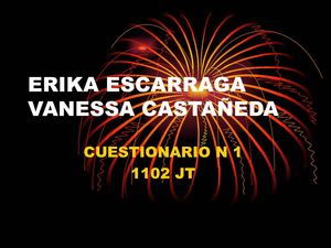 telematica y redes erika escarraga vanessa castañeda