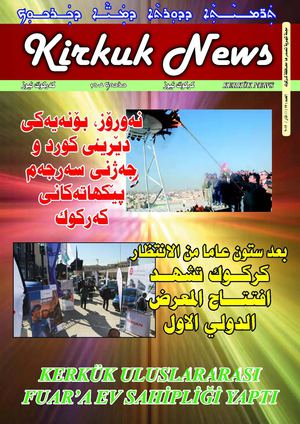 العدد 17