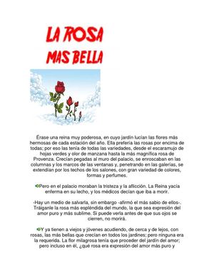 la rosa mas bella