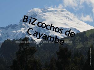 Bizcochos Cayambe
