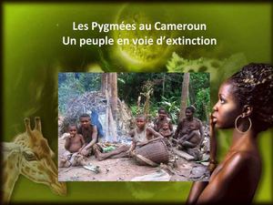 Les Pygmées au Cameroun