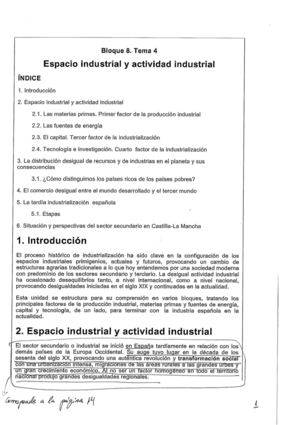 TEMA 6 ESPACIO INDUSTRIAL Y ACTIVIDAD INDUSTRIAL