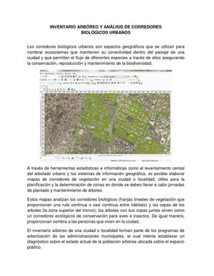 Corredores biologicos de vegetacion urbana