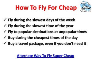 plane tickets zoo