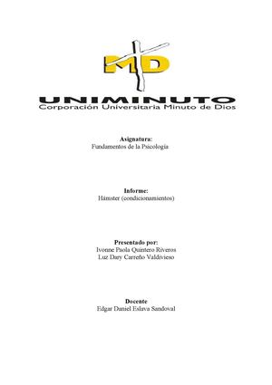 CONDICIONAMIENTO HAMSTER