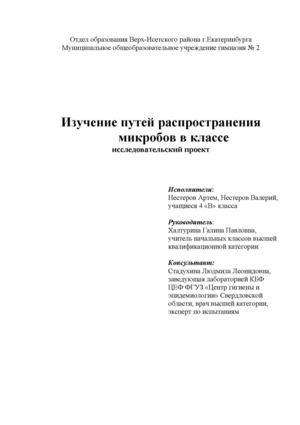 Нестеровы_Исследовательский проект