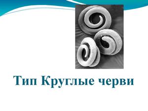 Тип Круглые Черви