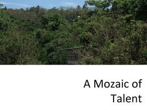 Architecture Firm India | Product Design India | Mozaic.in	