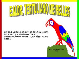 Livro Digital Cores 4º A