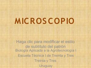 1ºBC MICROSCOPIO ODT (2012)