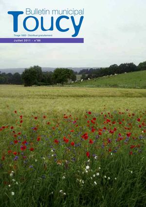 BULLETIN MUNICIPAL TOUCY JUILLET 2011