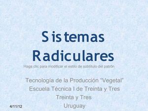 2ºBC Sistemas Radiculares (2012)