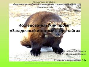 Исследовательский проект Загадочный и хитрый зверь тайги