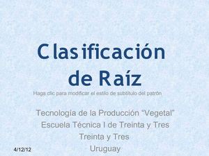 2ºBC Clasificación de raiz (2012)
