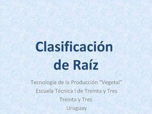 2ºBC Clasificación de raiz ODP (2012)