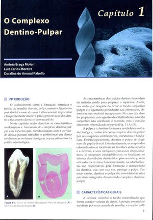 1-O Complexo Dentino-Pulpar