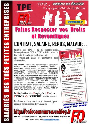 Affiche TPE 2012 FEC FO Commerce
