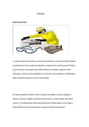 salud ocupacional ensayo
