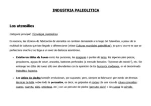 Industria Paleolìtica