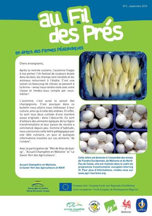 Le chicon et le champignon