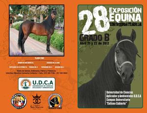 28 Exposición Equina Universitaria U.D.C.A - Grado B