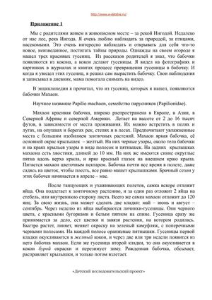 Бабочка махаон