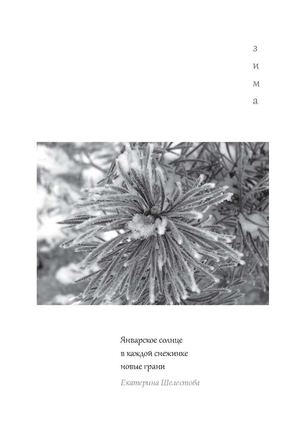 Хайку для детей. Фрагмент "Зима"