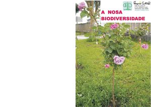 As árbores do recinto escolar