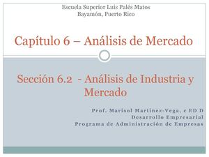 CAPITULO 6, SECC 6.2, ANALISIS DE INDUSTRIA Y MERCADO